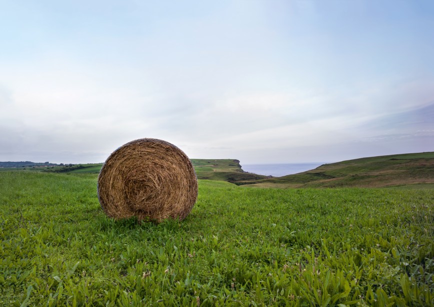 Ángel Luis Aldai: 40 Wegstunden durch Kantabrien