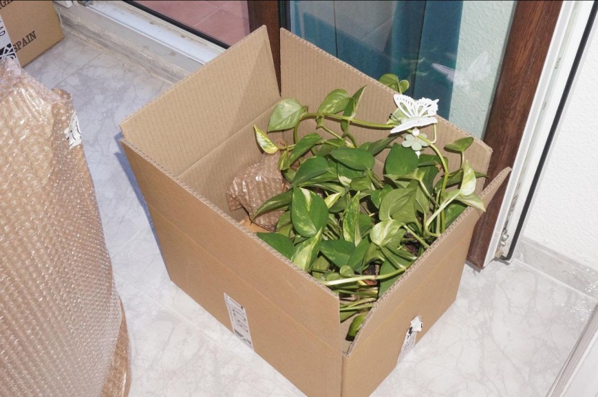 Fermín Jiménez Landa: The Visits