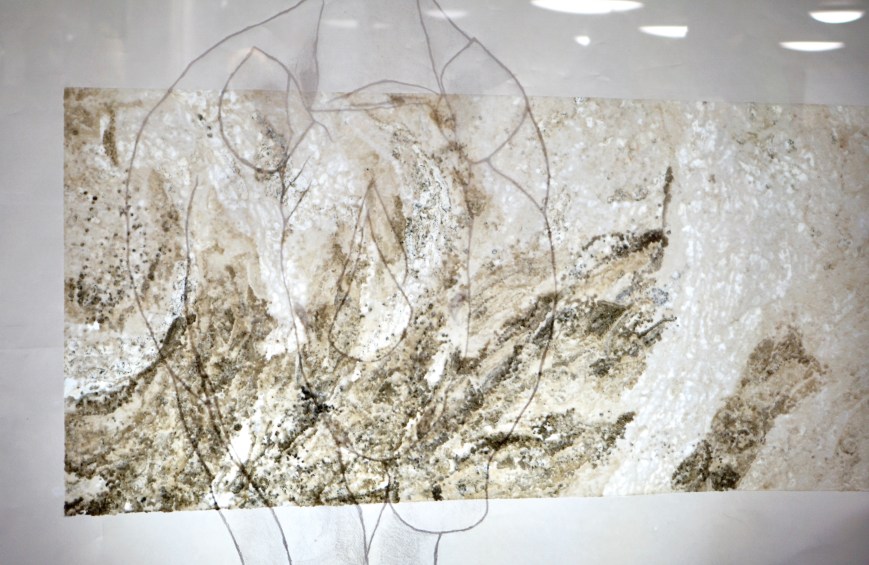 Why not a rhinoceros? 